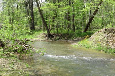 fifteen mile creek