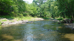 town creek