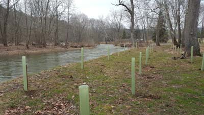 town creek buffer