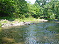 stream