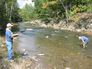 stream